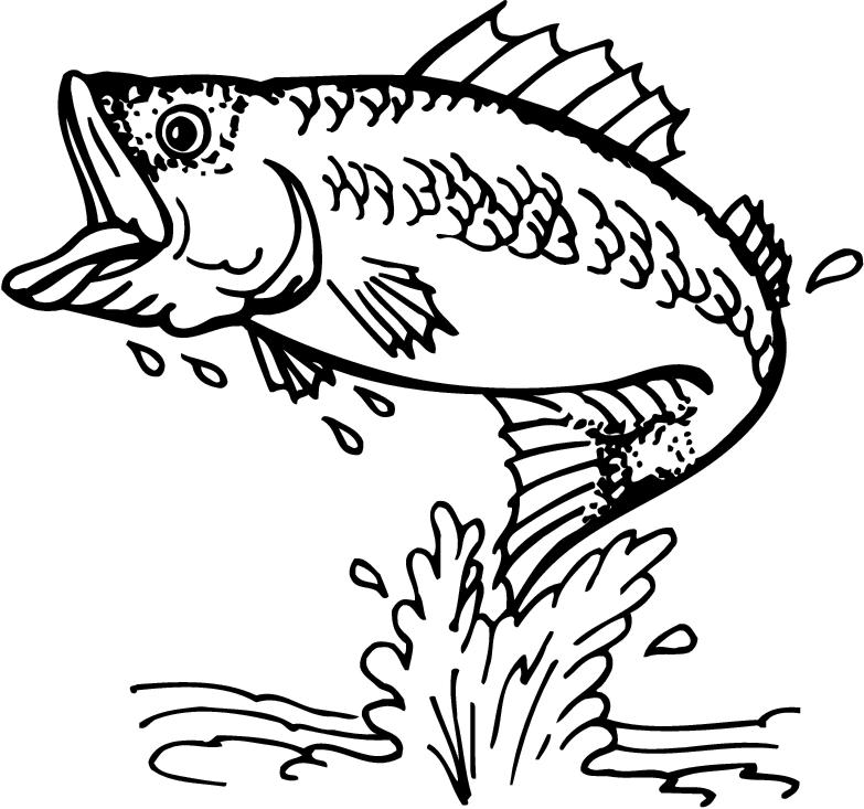 Bass Fish Clipart Images Amp  - Bass Fish Clipart