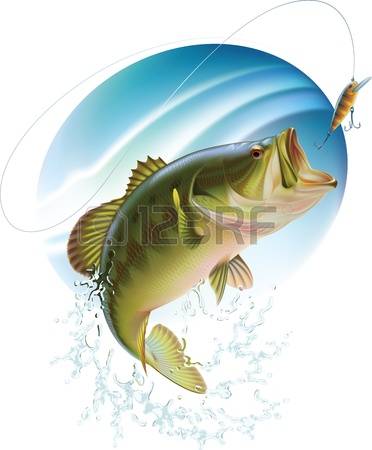 bass fish clipart