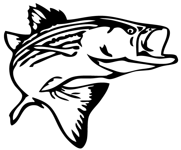 Bass Fish Outline Clip Art Fr - Bass Clipart