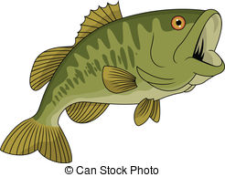 ... Bass fish - Vector Illust - Largemouth Bass Clip Art
