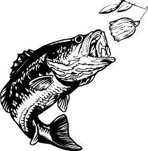 Bass Fishing Clipart | Vector - Bass Fish Clip Art