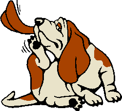 Basset Hound Clipart - Hound Dog Clipart