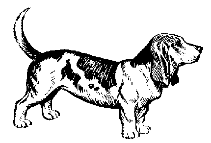 basset hound dog cartoon illu