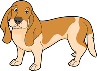 basset hound dog. Size: 108 Kb
