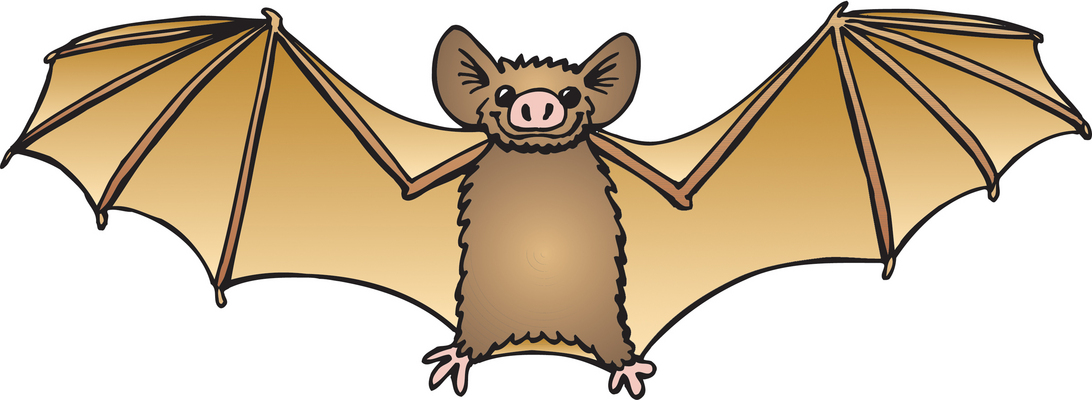 Cute Bat Clipart #1