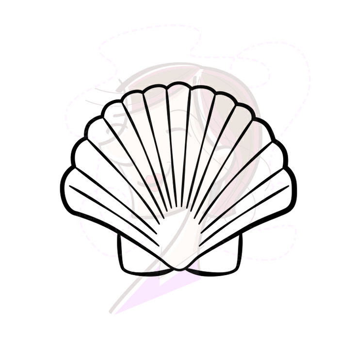 Pink Scallop Seashell Clipart