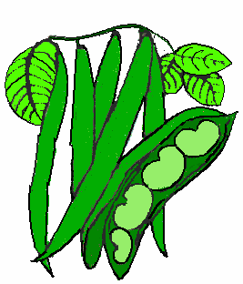 Beans In Clipart