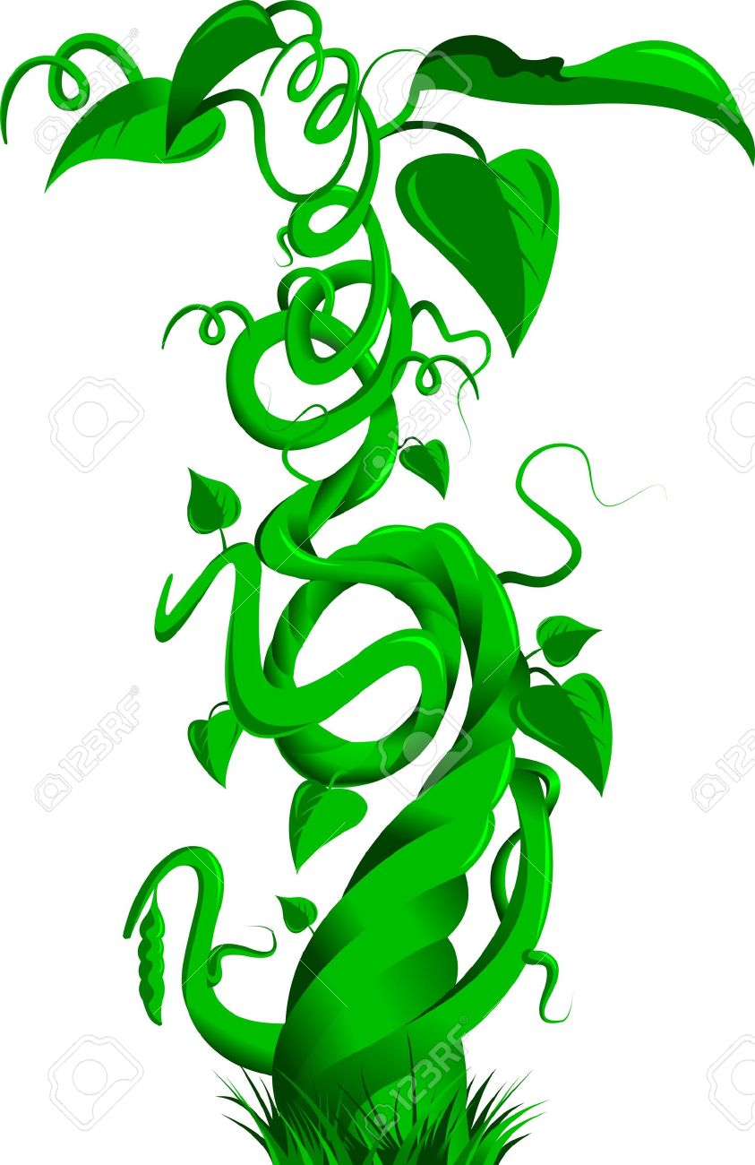 beanstalk: Vector illustration of a bean stalk on the fairy tale Jack and the Beanstalk