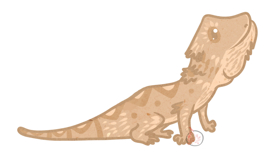 Bearded Dragon by Ineffable-Ferret on Clipart library