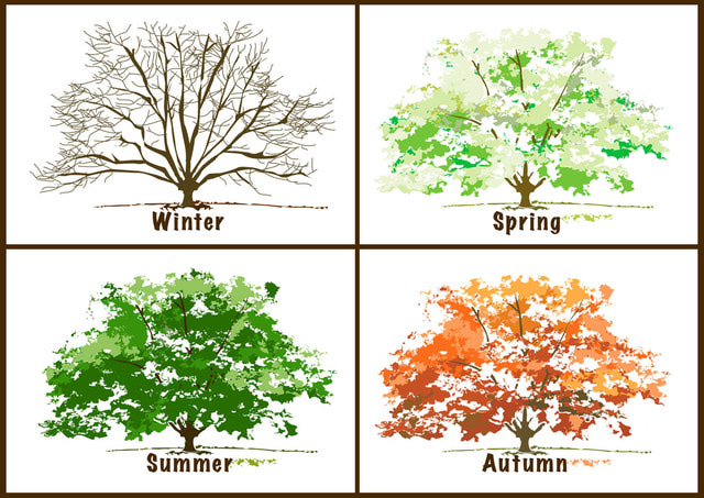 Beautiful, Free Clip Art for the 4 Seasons | Seasons, Beautiful and Four seasons