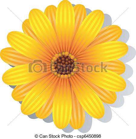 ... Beautiful yellow Gerber Daisy over white. EPS 8, AI, JPEG