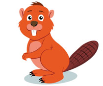 beaver with two large teeth clipart. Size: 67 Kb