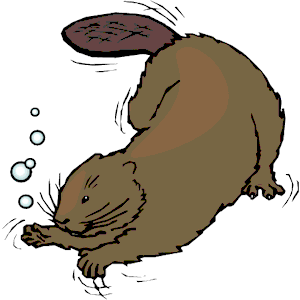 Beaver Swimming Clipart Cliparts Of Beaver Swimming Free Download