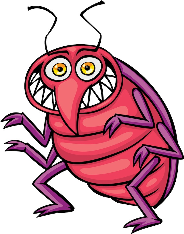 bedbug pic. - Clipart Bugs