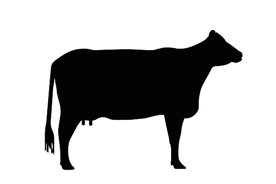 Clipart of cow silhouette