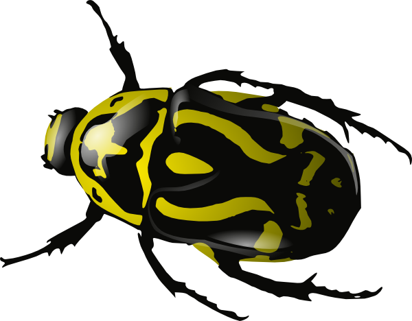 beetle clipart u0026middot; i - Insect Clip Art