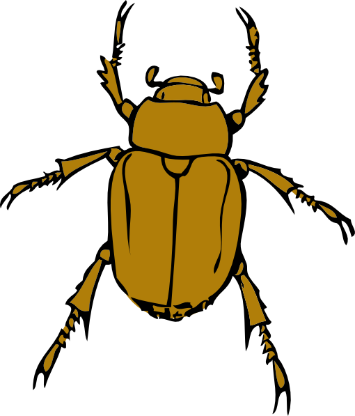 Beetle Bug Clip Art At Clker  - Insect Clipart
