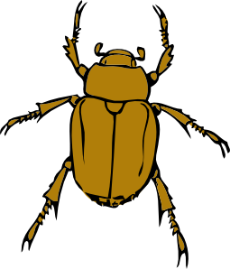 Green Beetle clip art