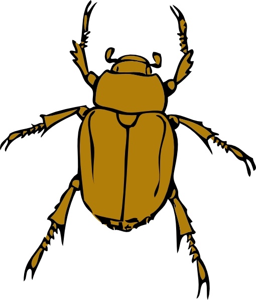 Beetle Bug clip art