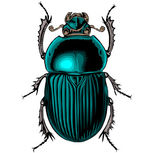 Shiny Green Beetle Clip Art A