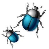 Beetle; Beetle