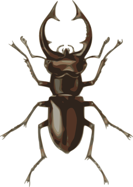 Beetle Clipart - Beetle Clip Art