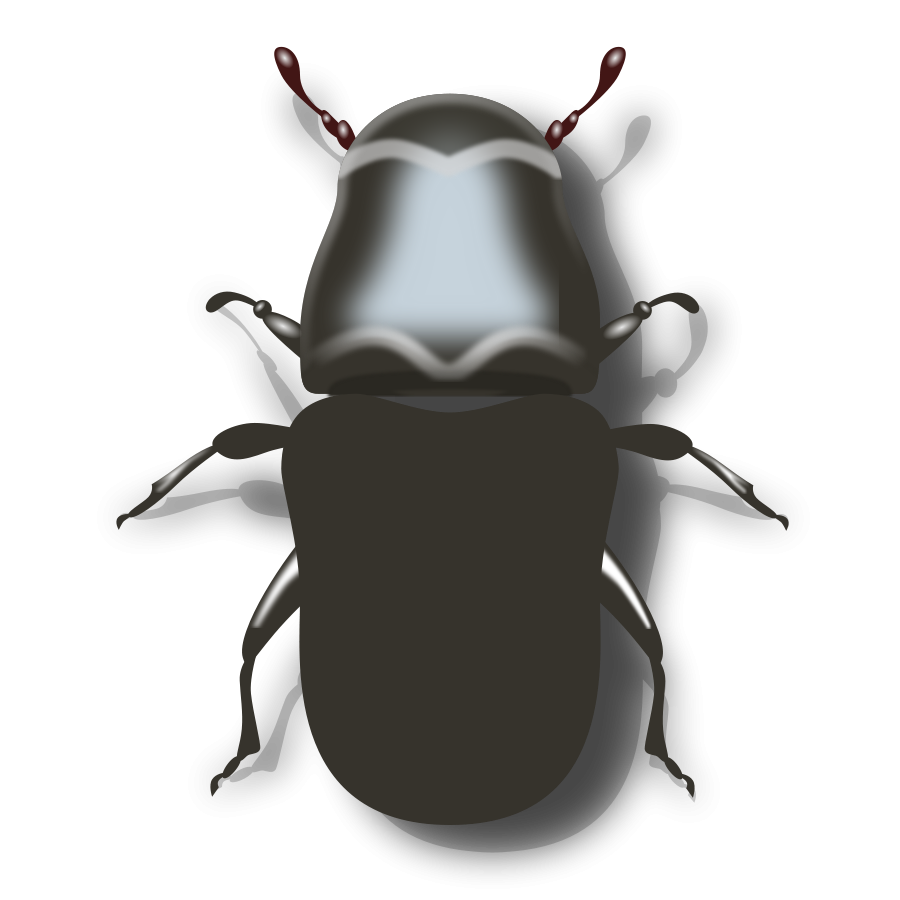 Beetle Clipart-Clipartlook.co