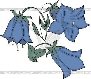 Blue bellflower - vector clip - Bellflower Clipart