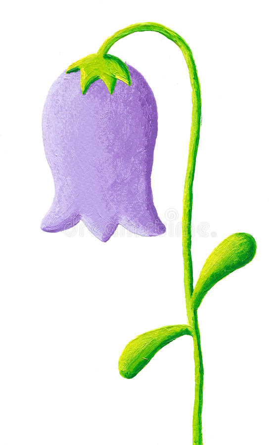 Download Blue bellflower stock illustration. Illustration of acrylic -  14013234