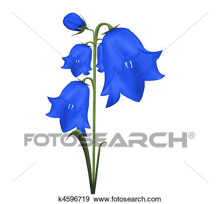 Stock Illustration - Bell flower. Fotosearch - Search Vector Clipart,  Drawings, Print Murals