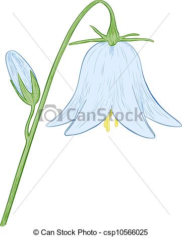 Vector Bell-Flower. - Bellflower Clipart