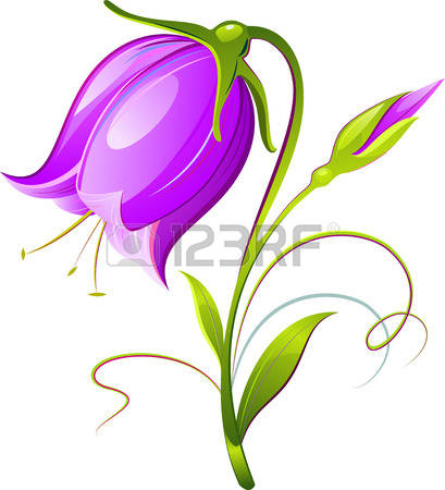 Vector Bell-flower. Decorative. Isolated on white. 8