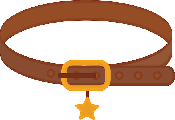 Brown leather animal dog collar with golden star belt control vector art  illustration