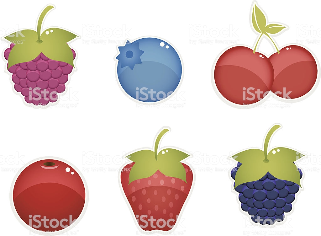 Berries clipart - Illustration .