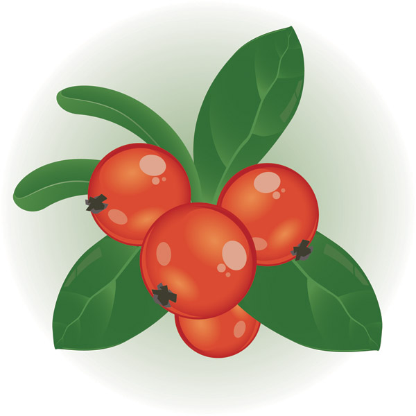 Berry 20clipart