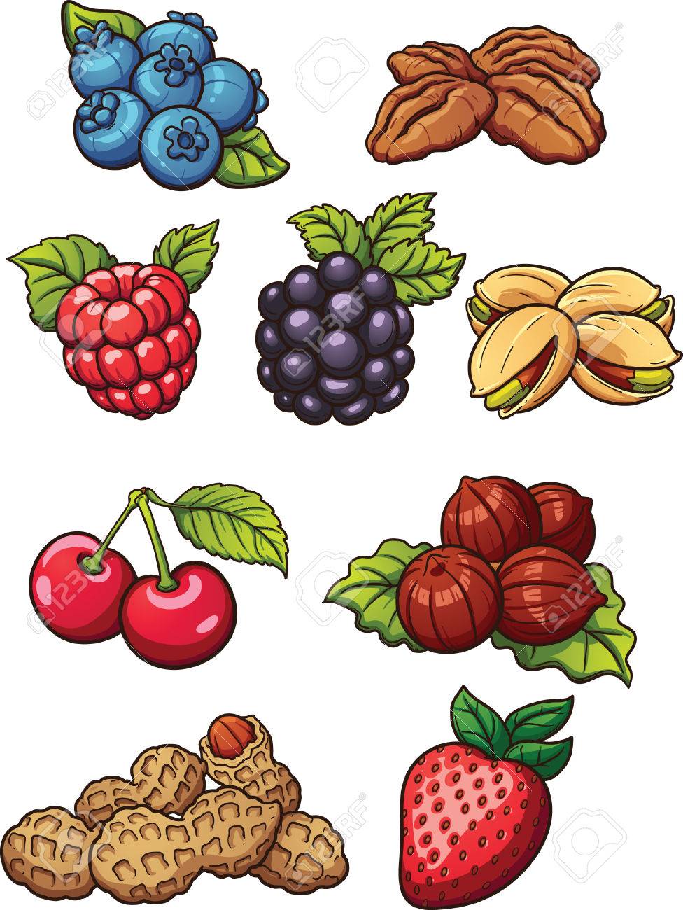 Cartoon nuts and berries. Vector clip art illustration with simple  gradients. Each on a