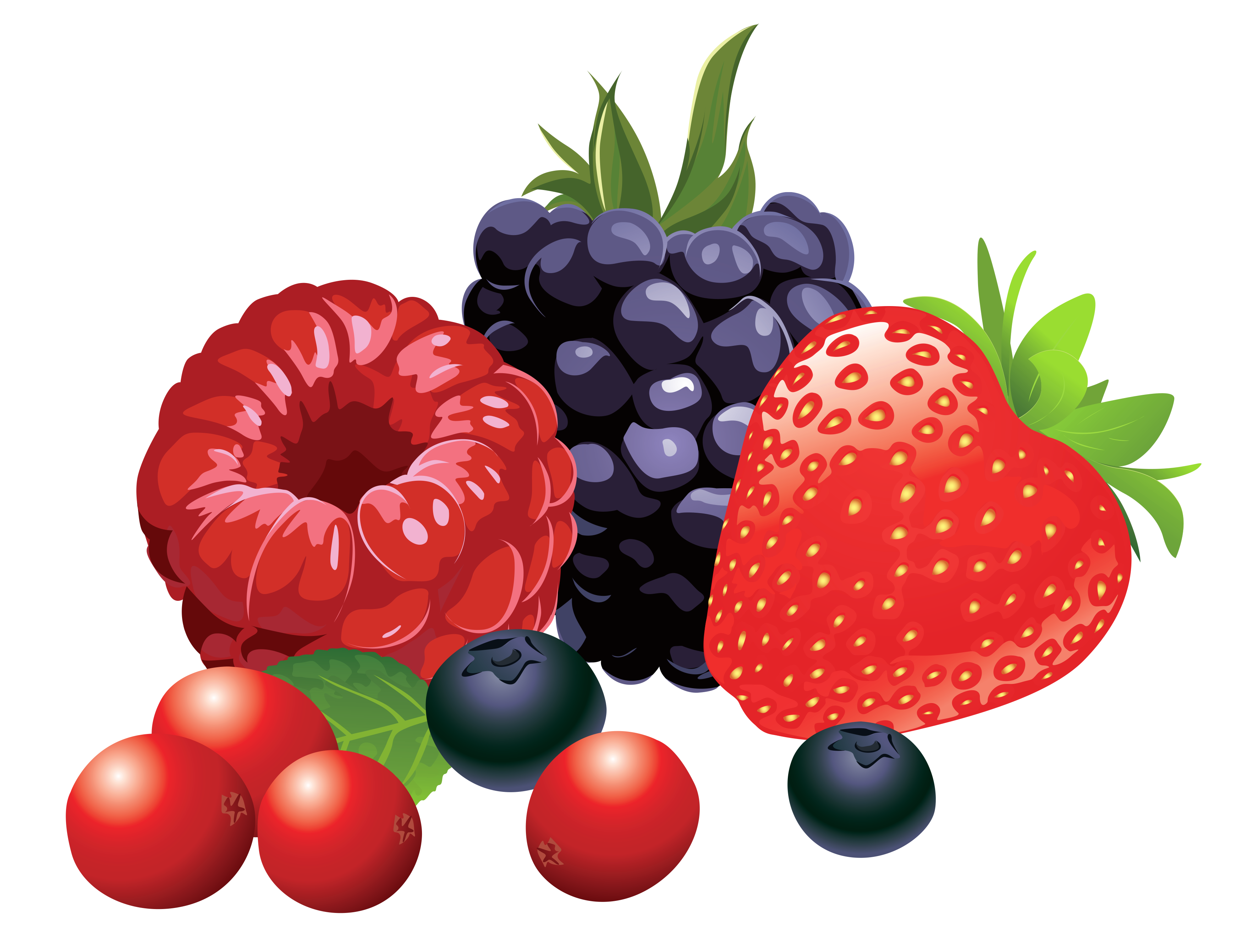 Forest Fruits PNG Vector Clipart Image