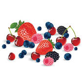 . ClipartLook.com Vector fresh berries