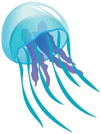 Jellyfish Black And White Cli