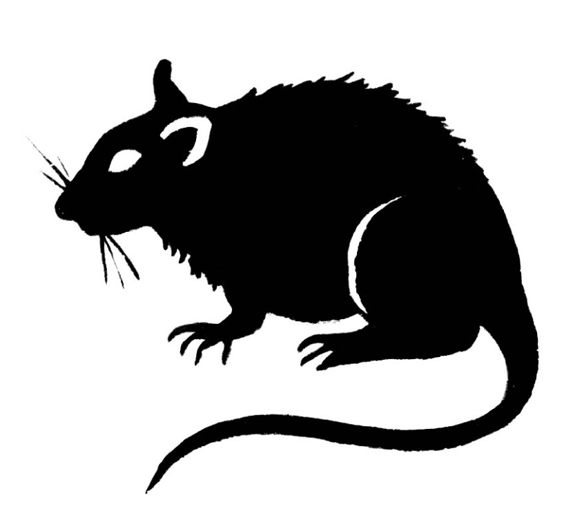 Best Rat Clipart #17566 - Clipartion clipartall clipartall.com