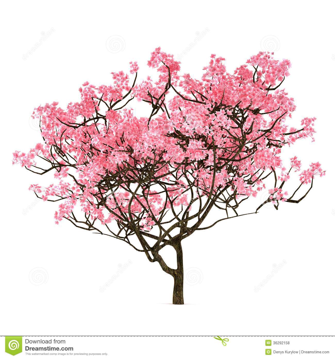best sakura tree clipart clipartall with