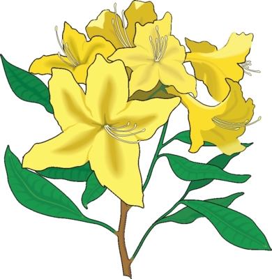 Bing Free Flowers Clipart