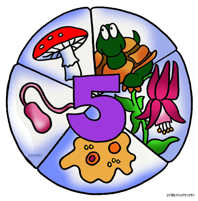 Free Biology Clip Art By Phil