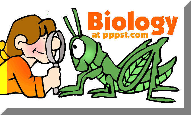 Dna Biology Clipart