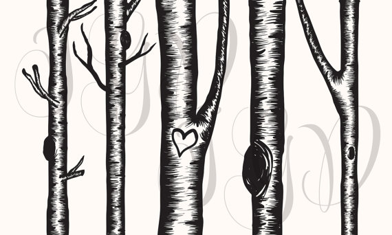 Birch Tree Digital Clip Art - Hand Drawn Winter Aspen Christmas Tree ClipArt transparent png for scrapbooking, invitations, bridal shower | Trees, ...