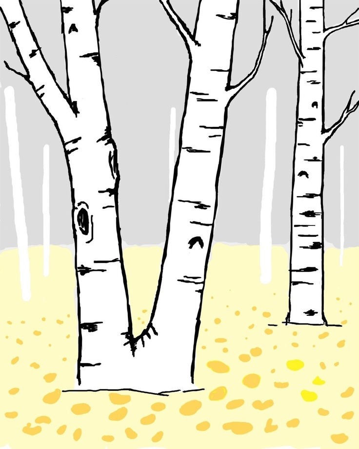 Birch tree graphic