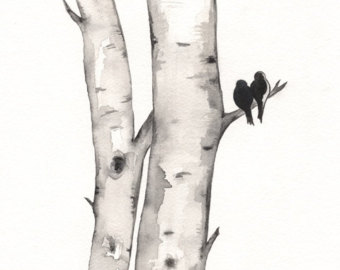 Birch Tree Love No 1 / Birds .