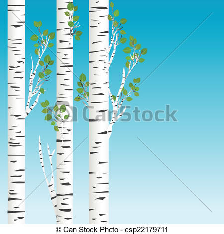 ... Birch trees with green le - Birch Tree Clipart