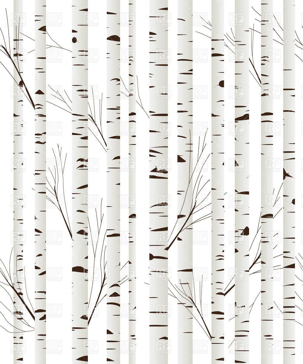 Birch Wood Trees Background Download Royalty Free Vector Clipart Eps