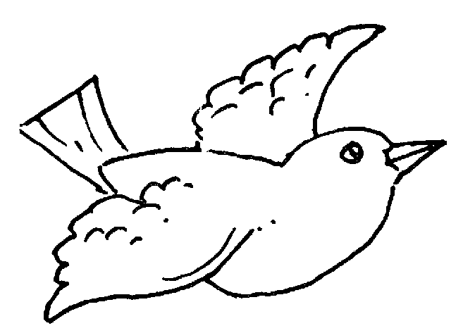 Fly Clipart Black And White F